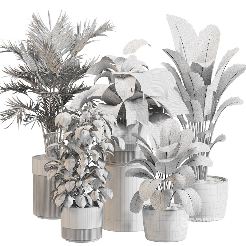 Indoor Plant Set 0117 Image 5