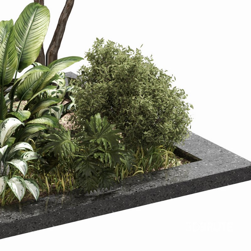 outdoor Plant Set 04 Image 3