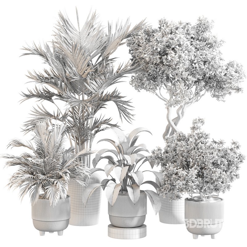 Indoor Plant Set 0123 Image 5