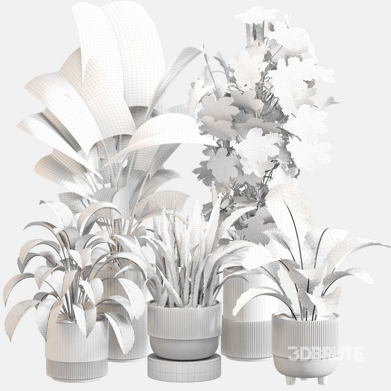 Indoor Plant Set 0115 Image 5