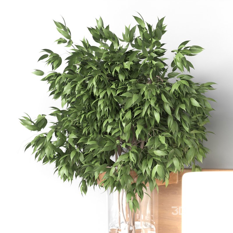 Isla Wall Mounted Lamp & Glass Vase Image 7