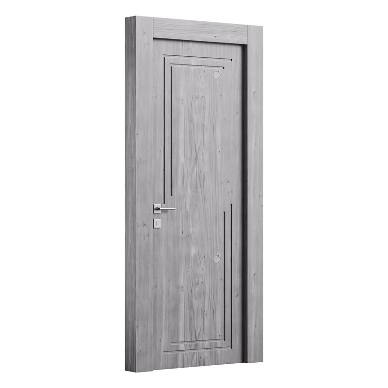 Modern entrance door 14 Image 6