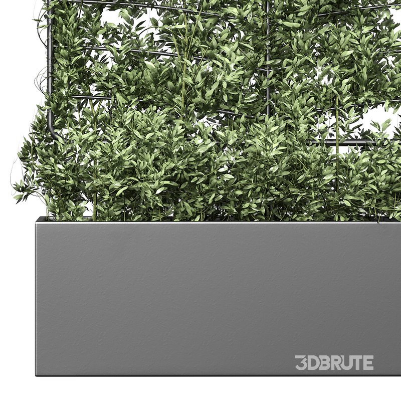 Botanical Planter 4 Image 14