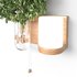 Isla Wall Mounted Lamp & Glass Vase - Thumbnail 6
