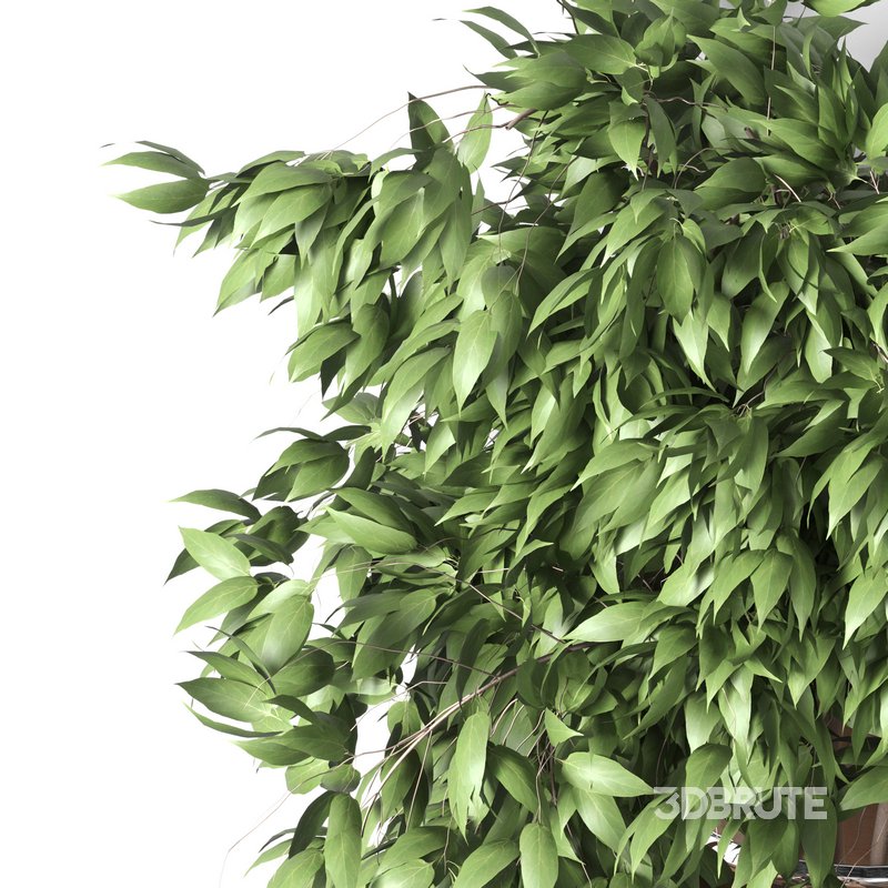 Isla Wall Mounted Lamp & Glass Vase Image 10