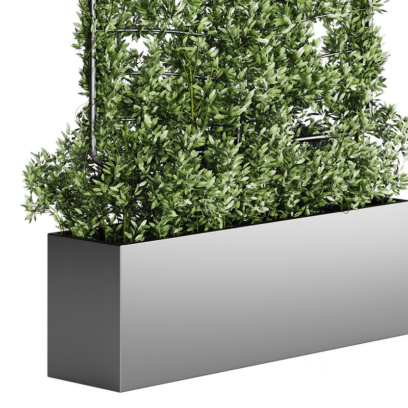 Botanical Planter 4 Image 4