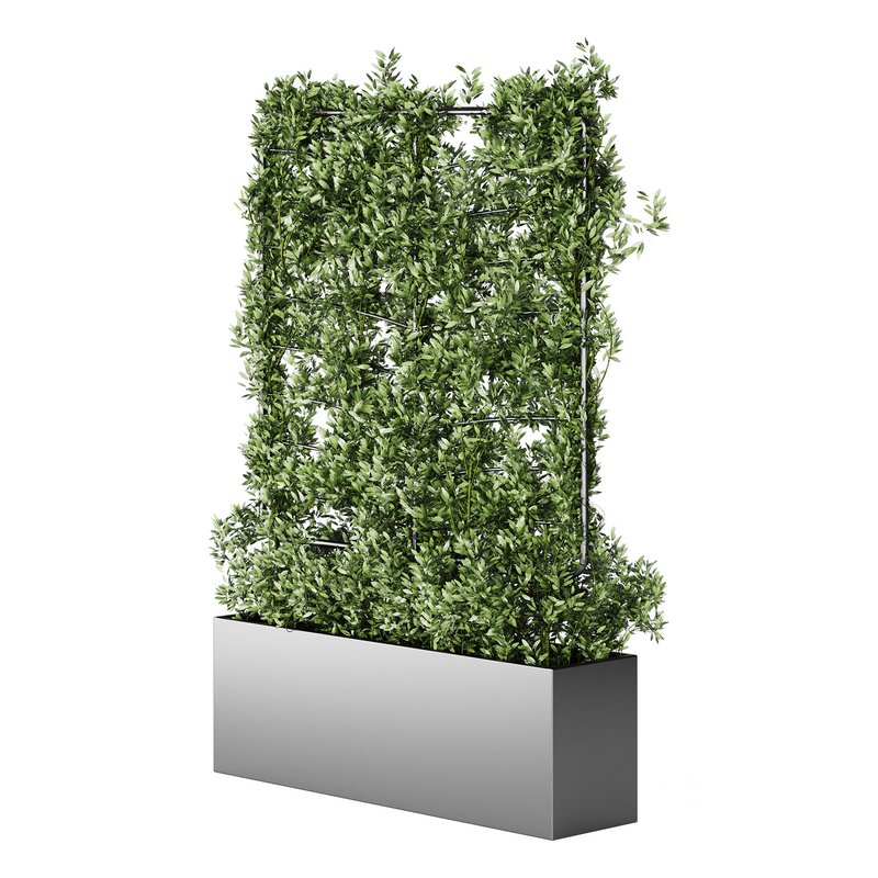 Botanical Planter 4 Image 5