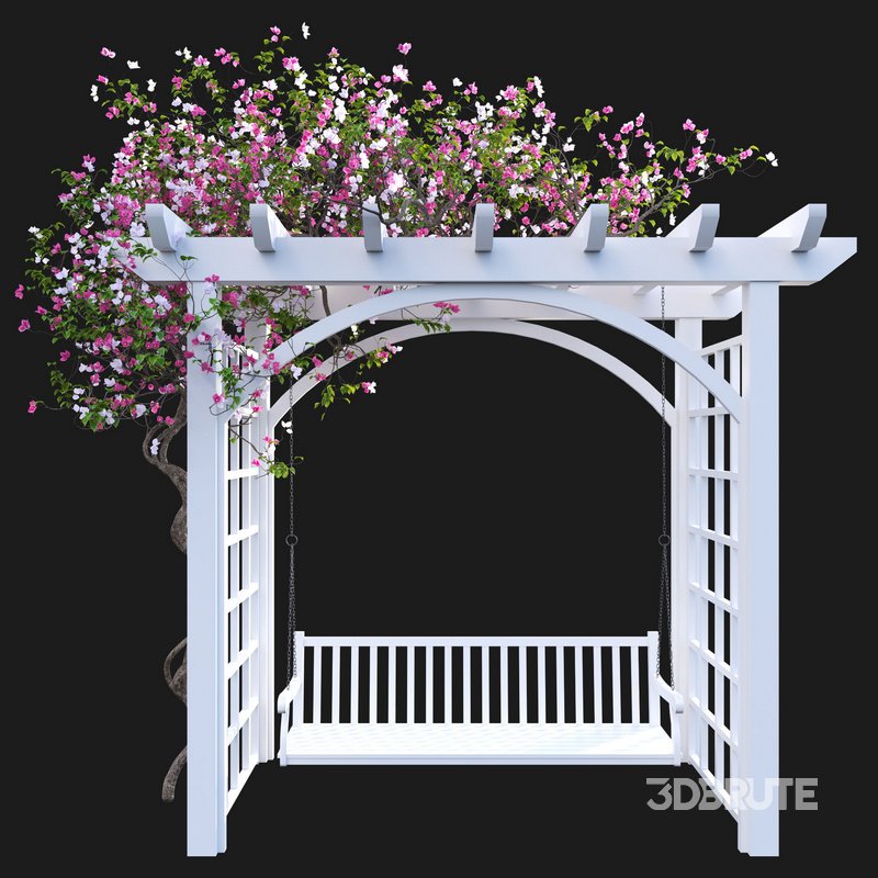 Bougainvillea 16 Image 2