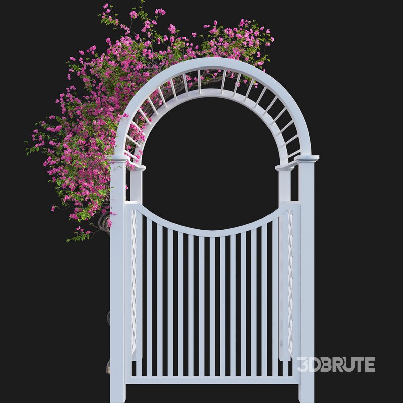 Bougainvillea 16 Image 2