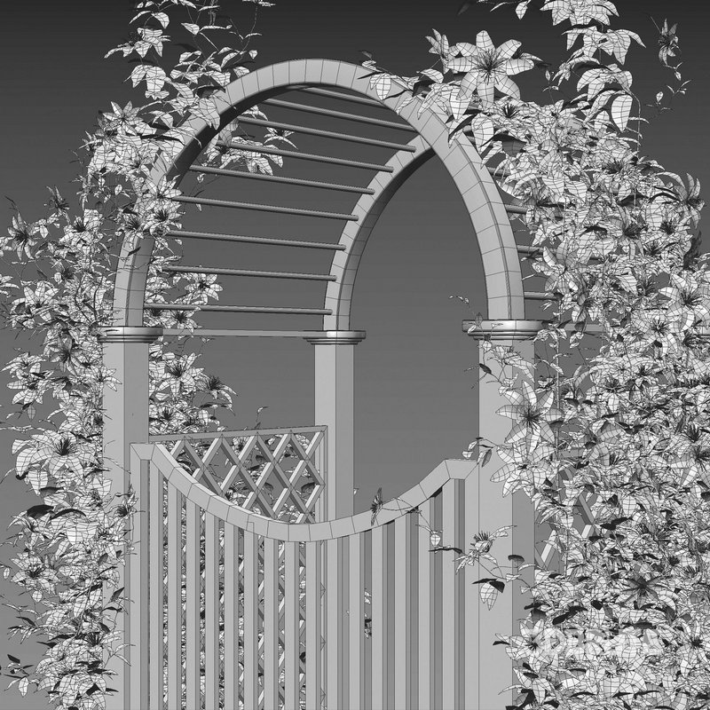 Clematis Aotearoa – Creeper Gate Image 6