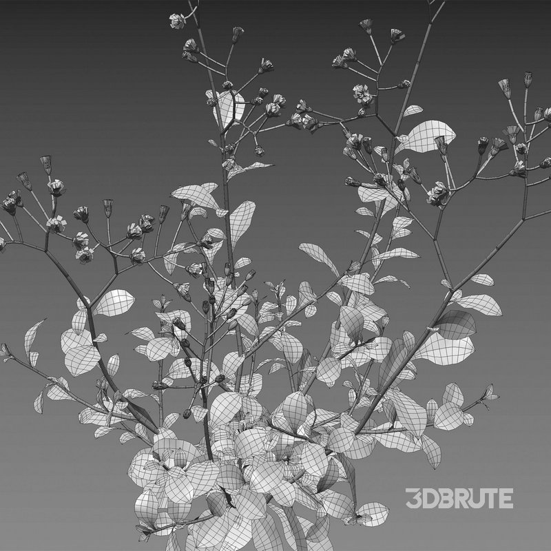 Cyanthillium cinereum – Little ironweed Image 5