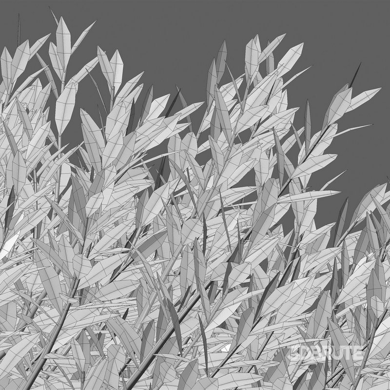 Eremophila Glabra Kalbarri Carpet – Tar Bush 03 Image 3