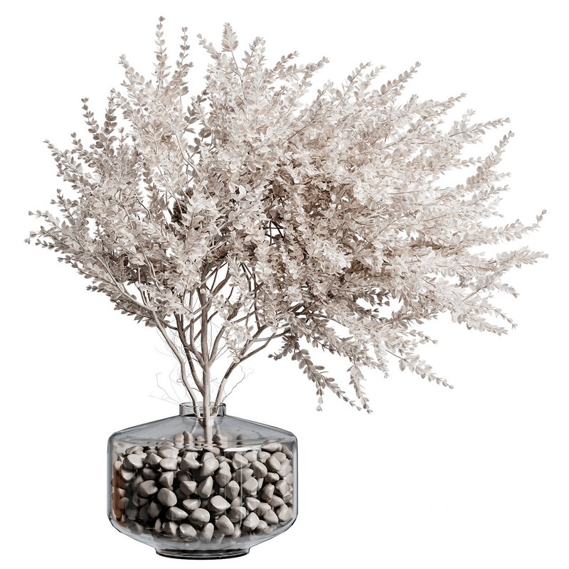 Indoor Plant 26 Image 1