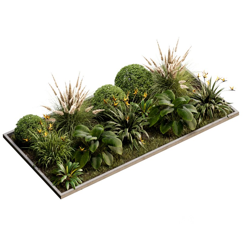 Outdoor Plant 30 Image 2