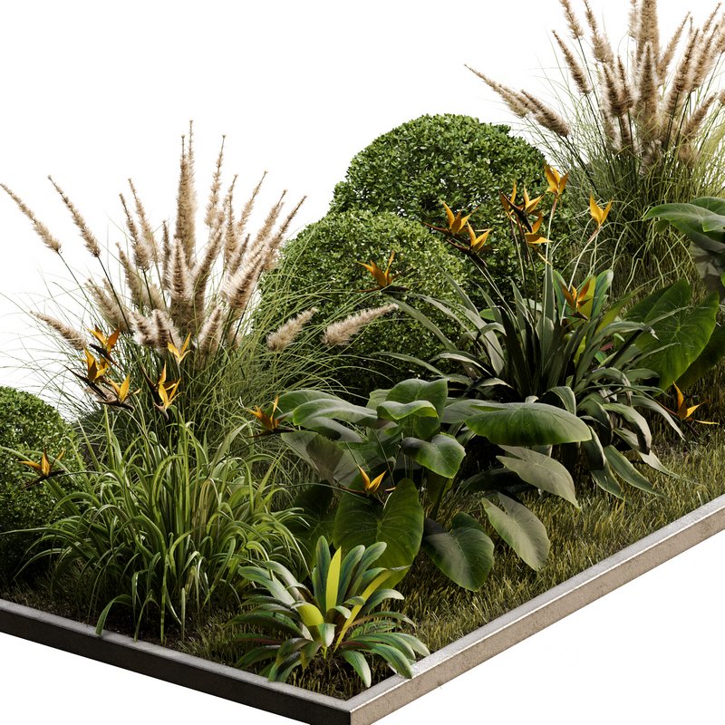 Outdoor Plant 30 Image 3