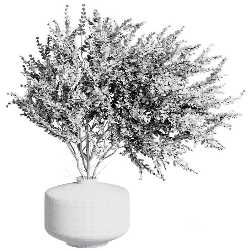 Indoor Plant 26 Image 4