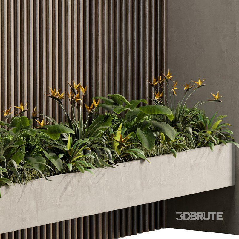 Wall with plant 06 Image 4