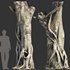 Ficus Tree Trunk 10 - Thumbnail 2
