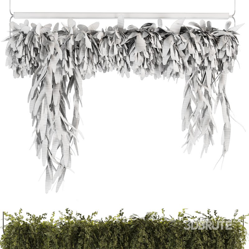 Indoor Plants-Ivy Plant-set-52 Image 5