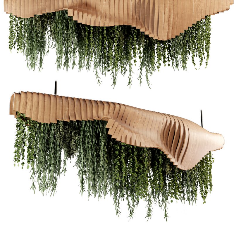 Indoorplants- Hanging Plants – Set-51 Image 1