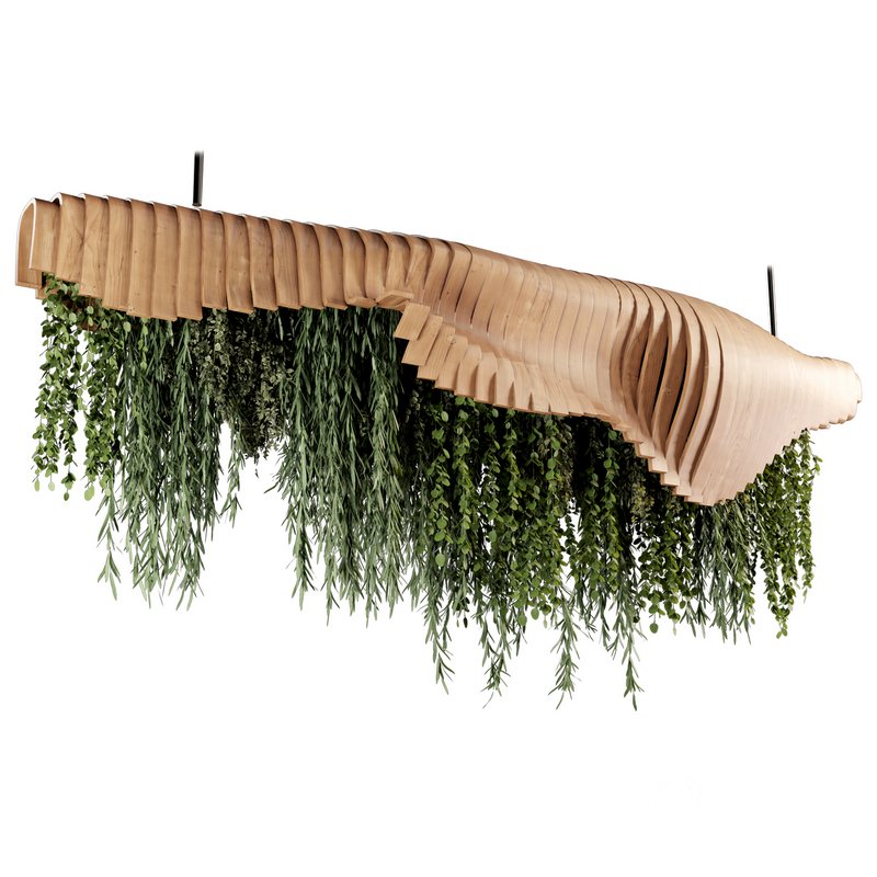 Indoorplants- Hanging Plants – Set-51 Image 3