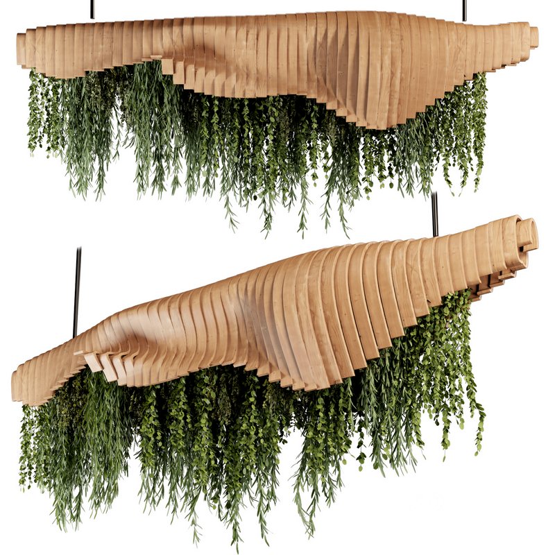 Indoorplants- Hanging Plants – Set-51 Image 2