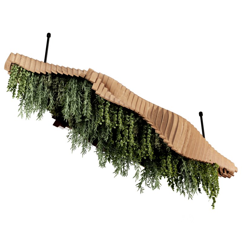 Indoorplants- Hanging Plants – Set-51 Image 4