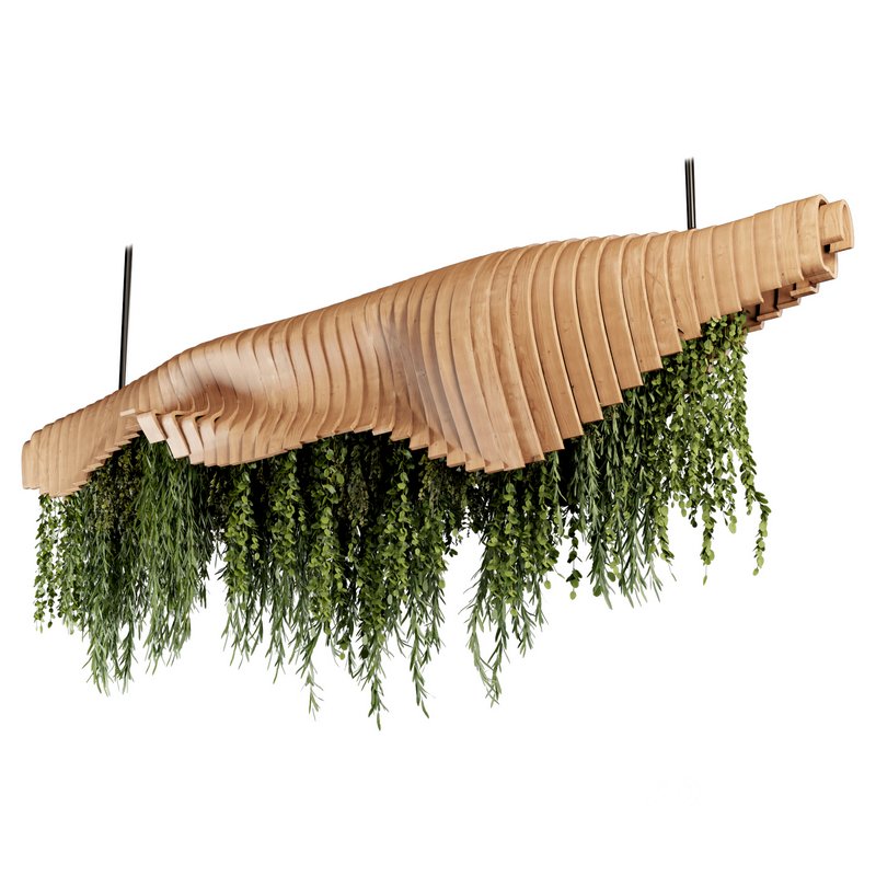 Indoorplants- Hanging Plants – Set-51 Image 5