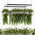 Indoorplants- Hanging Plants – Set-58 - Thumbnail 2