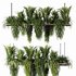 Indoorplants- Hanging Plants – Set-60 - Thumbnail 2