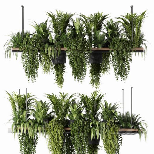 Indoorplants- Hanging Plants – Set-60