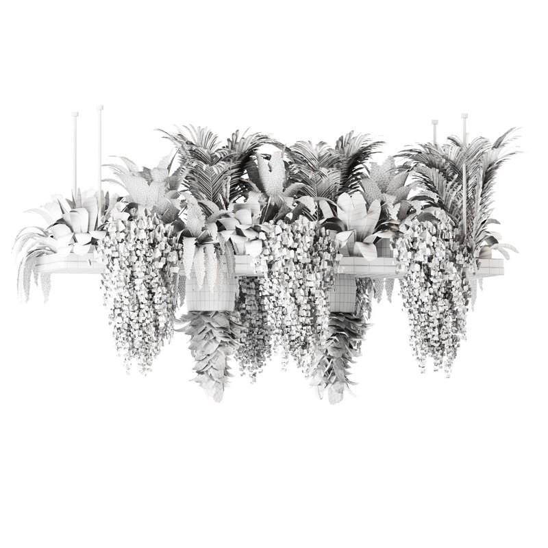 Indoorplants- Hanging Plants – Set-60 Image 6