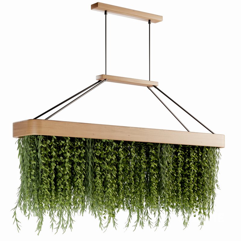 Indoorplants- Hanging Plants – Set-61 Image 2