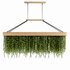Indoorplants- Hanging Plants – Set-61 - Thumbnail 1