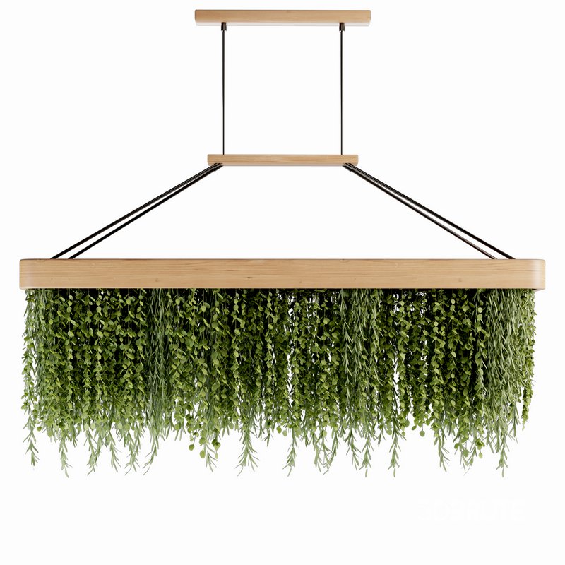 Indoorplants- Hanging Plants – Set-61 Image 1