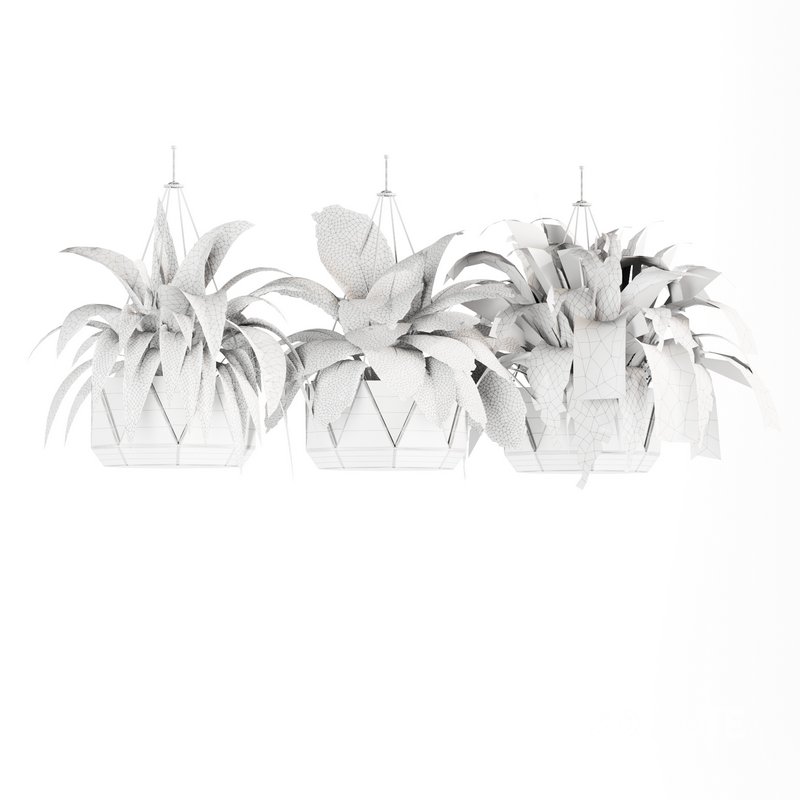 Indoorplants- Hanging Plants – Set-62 Image 3