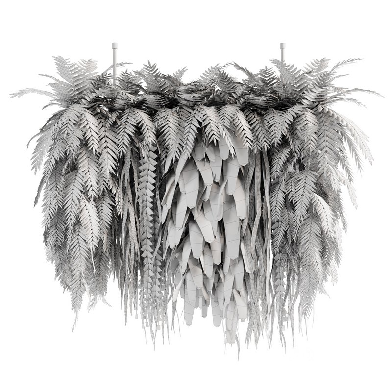 Indoorplants-Hanging plants set-63 Image 2