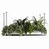 Indoorplants-Hanging plants set-64 - Thumbnail 2