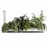 Indoorplants-Hanging plants set-64 - Thumbnail 6