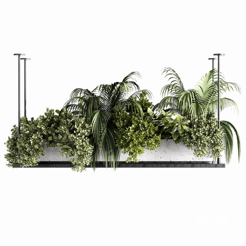 Indoorplants-Hanging plants set-64 Image 6