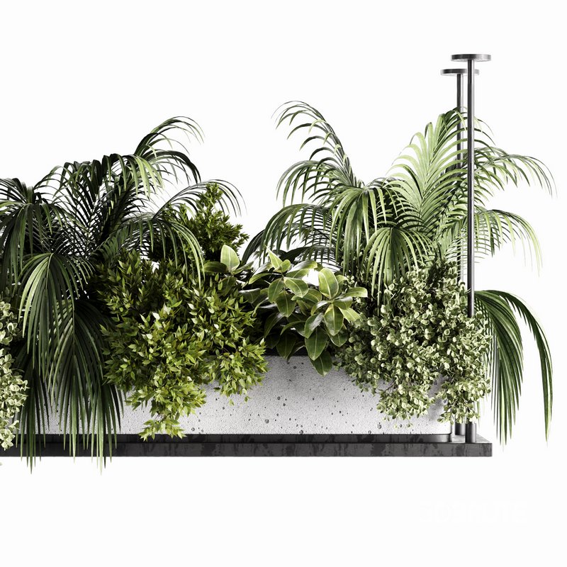 Indoorplants-Hanging plants set-64 Image 3