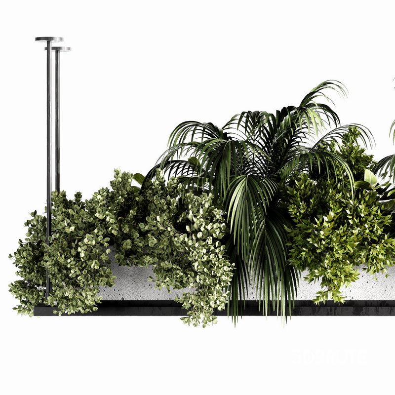 Indoorplants-Hanging plants set-64 Image 4