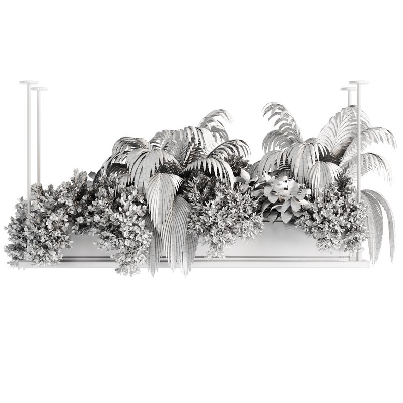 Indoorplants-Hanging plants set-64 Image 7