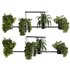 Indoorplants-Hanging plants set-65 - Thumbnail 1
