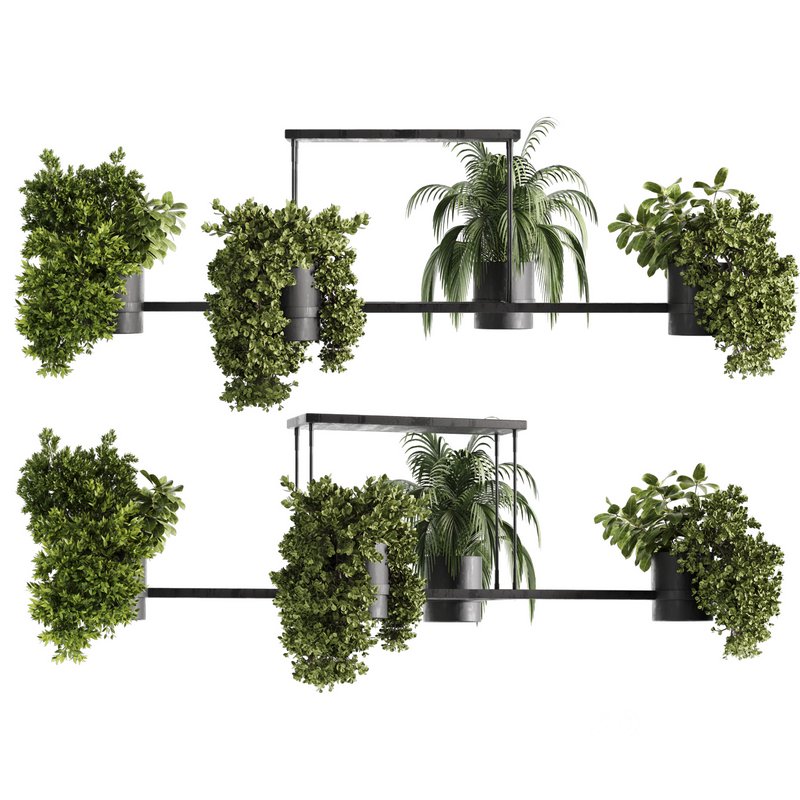 Indoorplants-Hanging plants set-65 Image 1