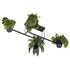 Indoorplants-Hanging plants set-65 - Thumbnail 5