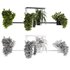 Indoorplants-Hanging plants set-65 - Thumbnail 7