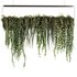 Indoorplants- Hanging Plants – Set50 - Thumbnail 2