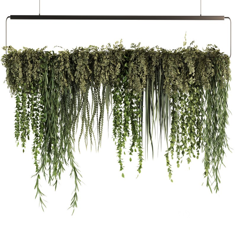 Indoorplants- Hanging Plants – Set50 Image 2