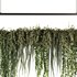 Indoorplants- Hanging Plants – Set50 - Thumbnail 1